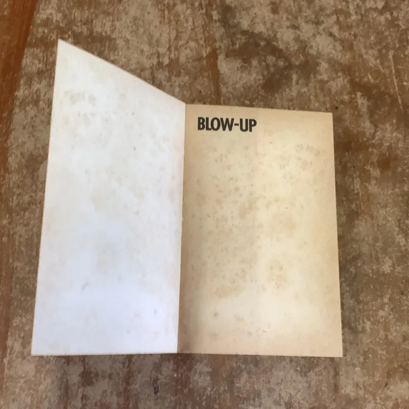BLOW-UP - JULIO CORTAZAR 761670