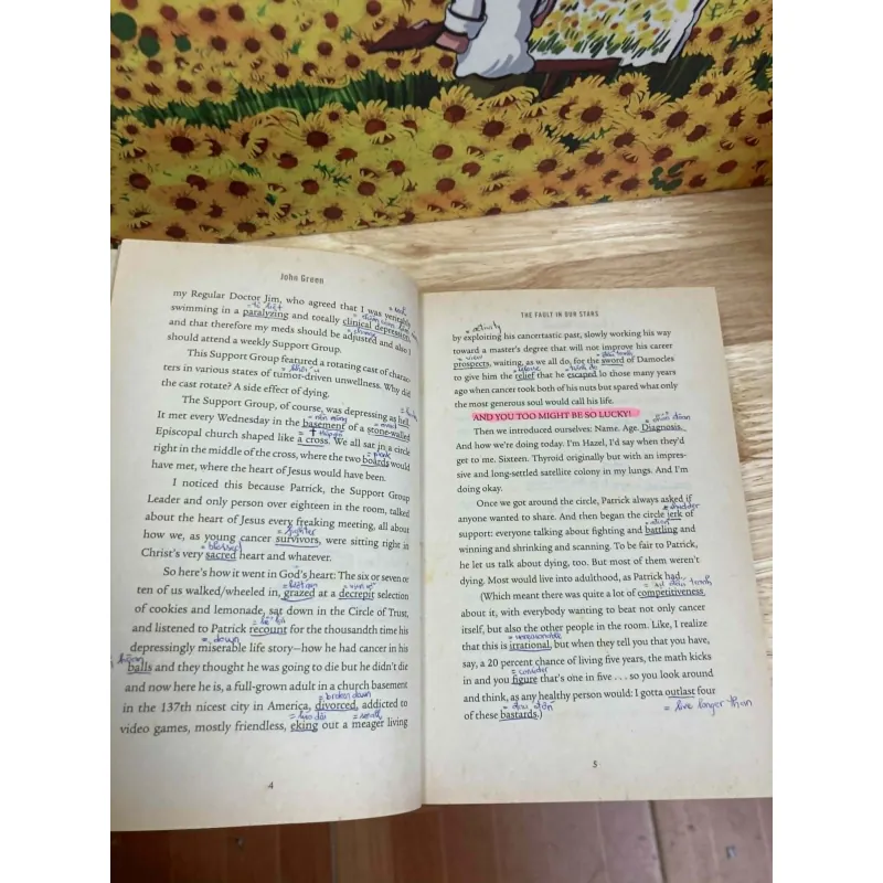 The Fault in Our Stars - John Green 1037890