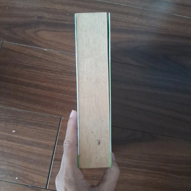 Nhật kí thăng chức của thổ thần 510065