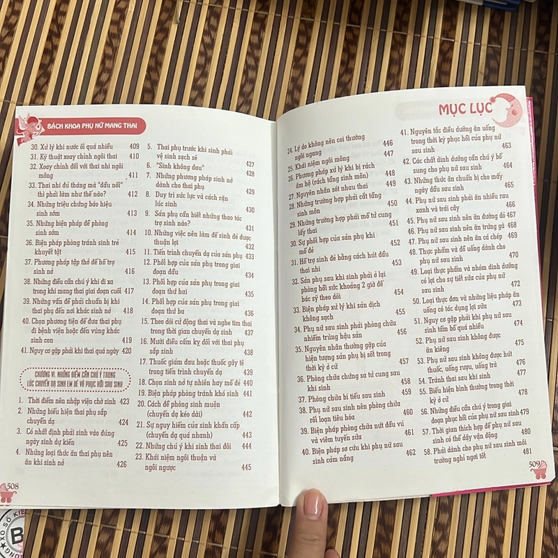 Bách Khoa Phụ Nữ Mang Thai  533392