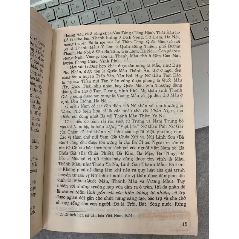 ĐẠO MẪU Ở VIỆT NAM- Ngô Đức Thịnh 272231