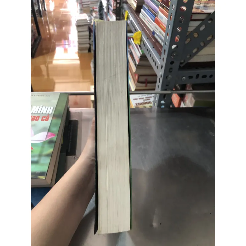 Người lữ hành lặng lẽ của tác giả Hữu Mai 977552