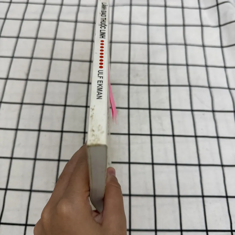 Lạnh đạo thuộc linh  597424