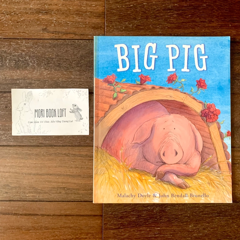 Sách ngoại văn Big Pig, Used 410721
