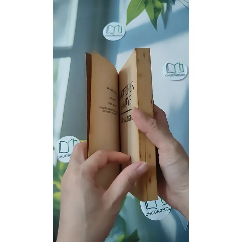 [MIỄN PHÍ BỌC SÁCH] [XƯA] The Catcher in the Rye (1951) - J. D. Salinger 1027211
