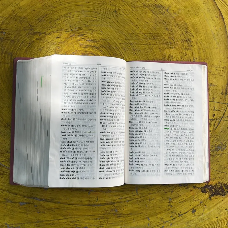 TỪ ĐIỂN VIỆT - HÀN 998146