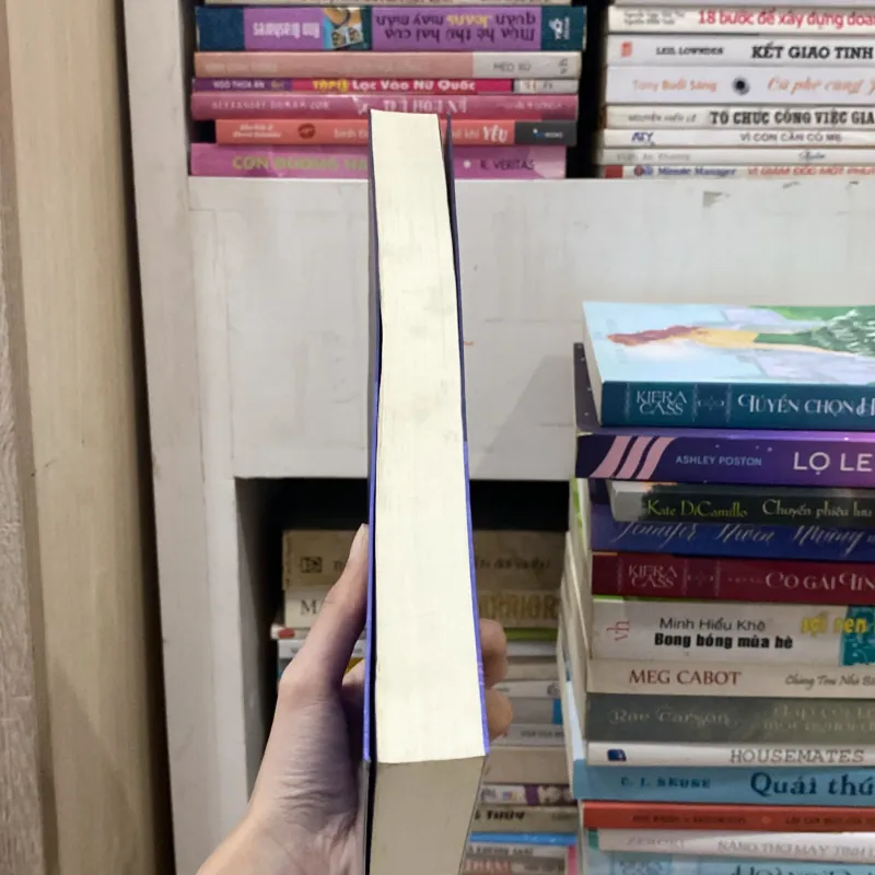 Ánh lửa Trong Tro Tàn♟️ 785910