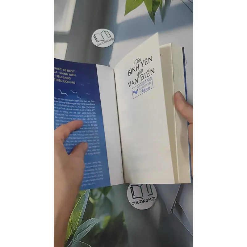 Tìm Bình Yên Giữa Vạn Biến - Dave Braun & Troy Amdahl 961253