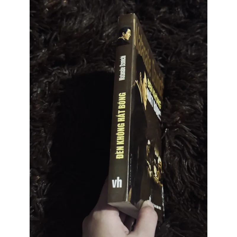 Đèn không hắt bóng 745666