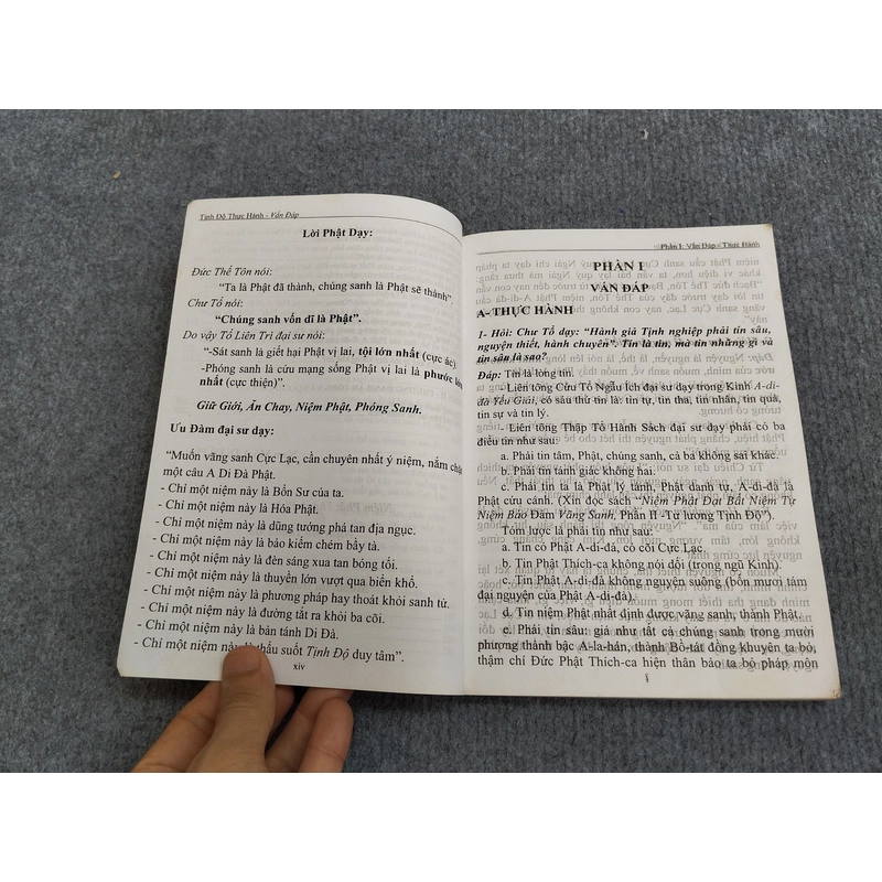 TỊNH ĐỘ THỰC HÀNH VẤN ĐÁP 494746