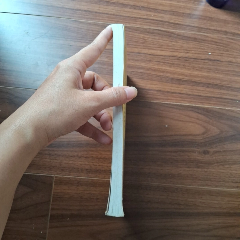 Sư tử tuyết bờm xanh - truyện cổ phật giáo tây tạng 531641