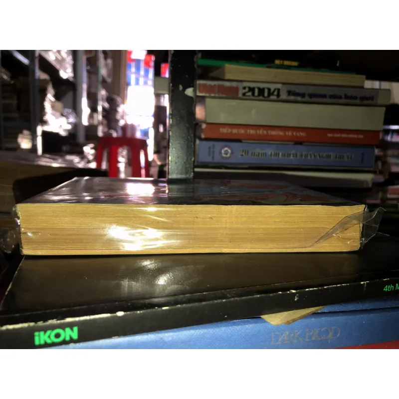 Người lạ trong gương - Sidney Sheldon 790272