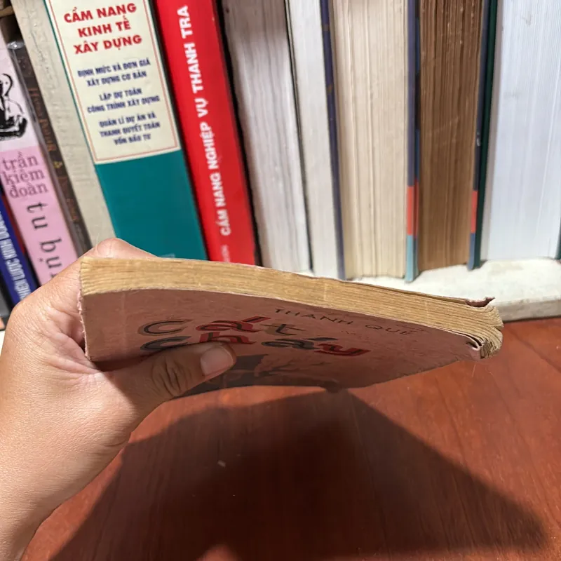 II Sách Thiếu Nhi: Cát Cháy - Thanh Quế - 1982 777311