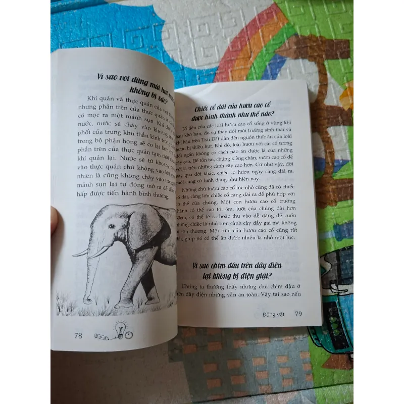 10 Vạn Câu Hỏi Vì Sao – Động Vật 1004976