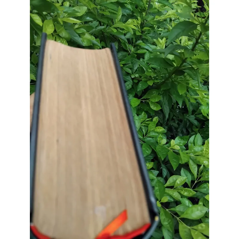 Hán Việt từ điển của Đào Duy Anh  999720