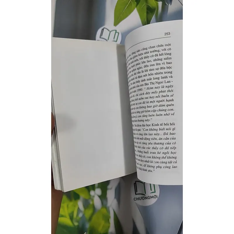 Gió Biển - Vũ Hoàng Lâm 798481