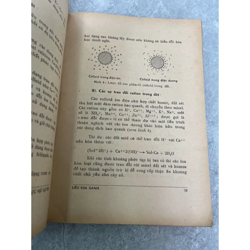 ĐẠI CƯƠNG VỀ ĐỊA LÝ HỌC THỰC VẬT LỤC ĐỊA - LIÊU KIM SANH 931474