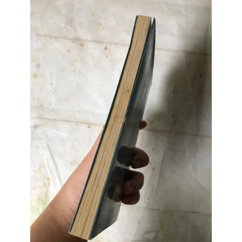 Những Lá Thư Nhờ Gió Gửi Ai Đó - Toon Tellegen, Jessica Ahlberg 800977