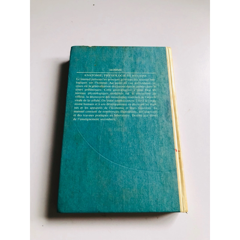 HOMME ( ngôn ngữ Tiếng Pháp) 532313