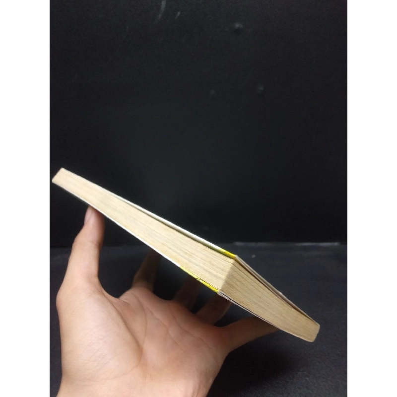 Trong tim ai cũng có một mặt trời năm 2017 mới 80% ố vàng HCM2602 913216