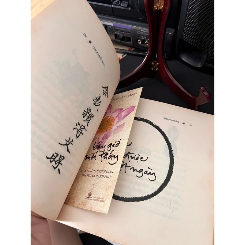 Bây giờ mới thấy 399218
