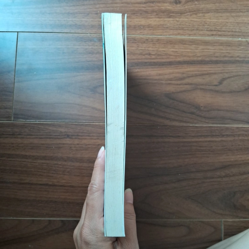 Sau mưa - wiliam trevor 506012