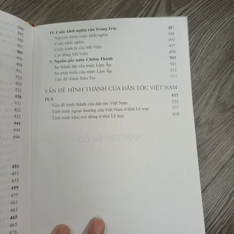 Lịch Sử Cỏi Đại Việt Nam - Đào Duy Anh 1020059