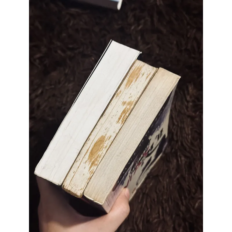 Sách Paul Auster 975487