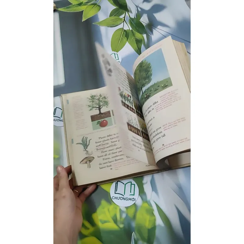 [MIỄN PHÍ BỌC SÁCH] Searching in Science 2 - Jacobson, Lauby & and Konicek 750795