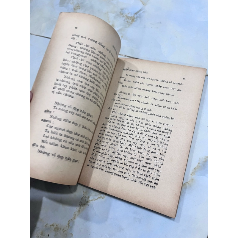 Trần gian muôn màu - Lê Thanh Hoàng Dân (có thủ thủ dịch giả) 531559