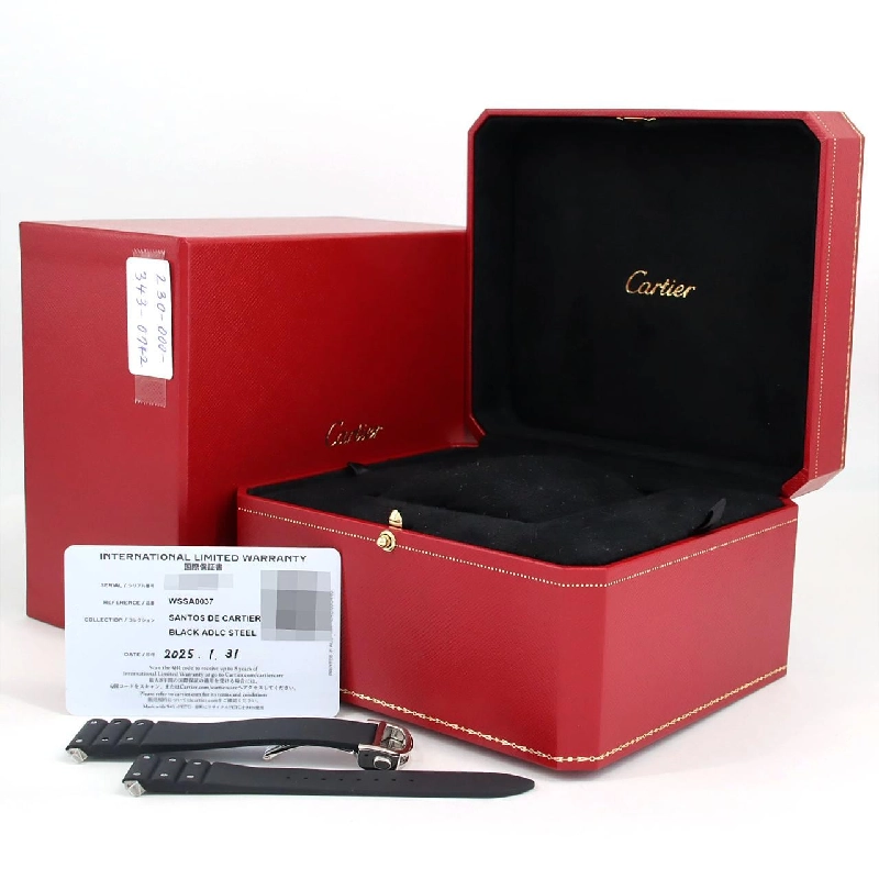 Cartier Santos-Du-Cartier LM WSSA0037 SS tự động - Hàng hiệu Chính hãng 879942