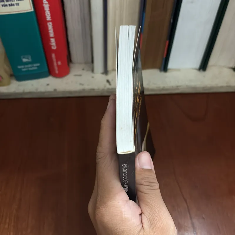 II Sách Tâm Linh: Hiện Tượng Ngoại Cảm _ Hiện Thực Và Lý Giải - Phạm Ngọc Dương - 2008 716777