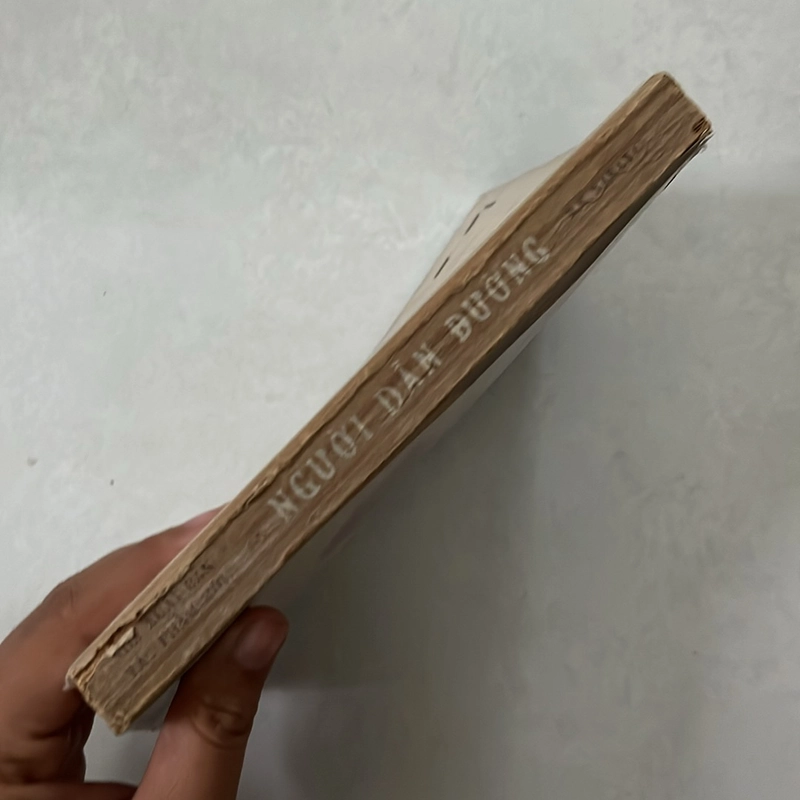 Người dẫn đường 498518