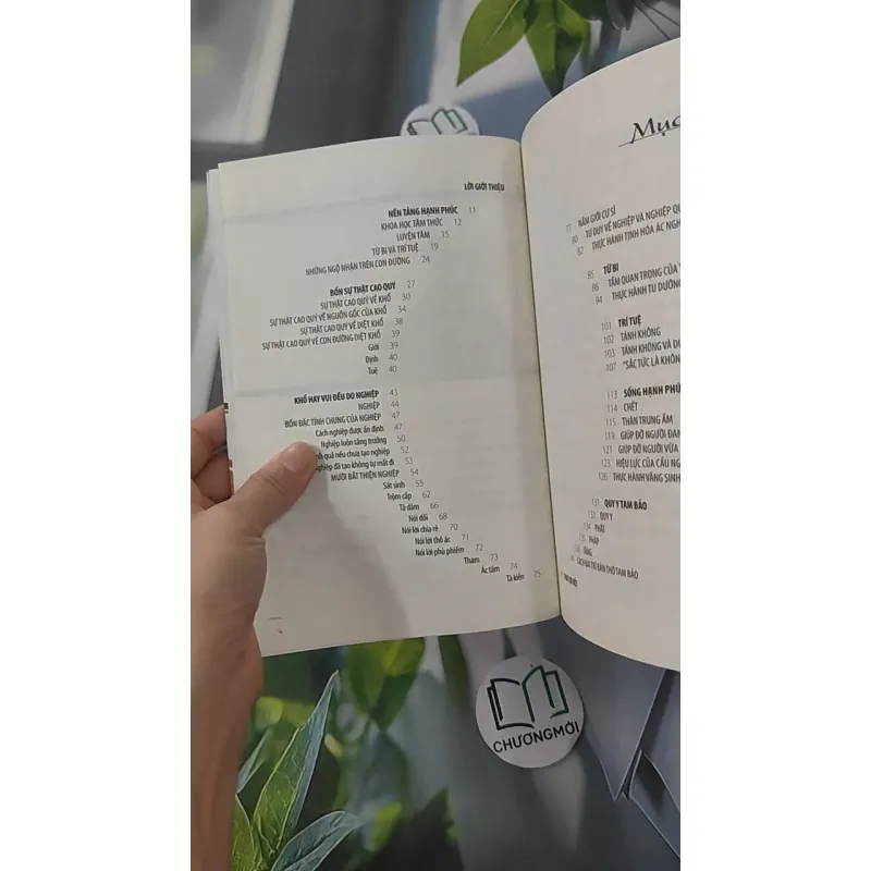 Làm Chủ Cuộc Đời - Khangser Rinpoche 961215