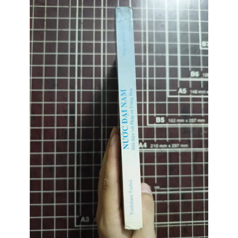 Nước Đại Nam đối diện với Pháp và Trung Hoa - Yoshiharu Tsuboi 731167
