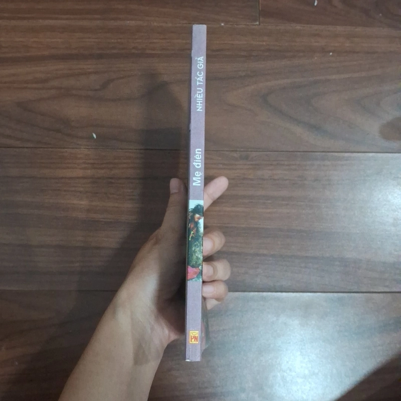 Mẹ điên - trang hạ dịch 508039
