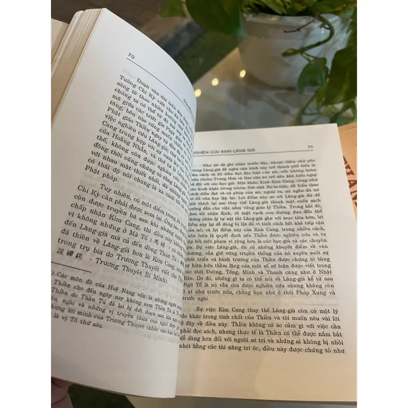 NGHIÊN CỨU KINH LĂNG GIÀ - THÍCH CHƠN THIỆN, TRẦN TUẤN MẪN dịch  1028790