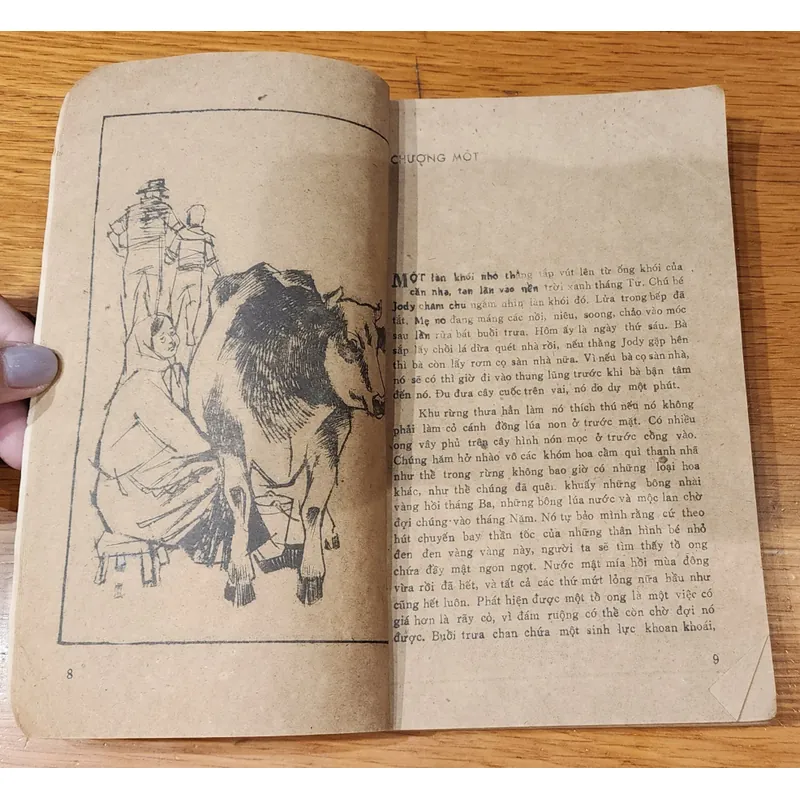 JODY & NAI CON (tác giả: Marjorie Kinnan Rawlings) 706899