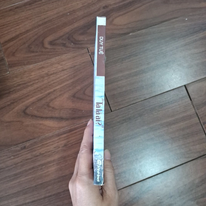 Ta là ai - duy tuệ 532535