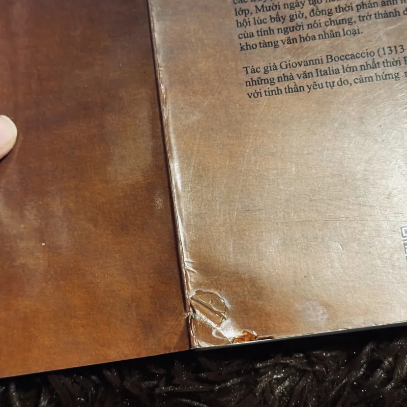 Mười ngày (Văn học kinh điển)  784741