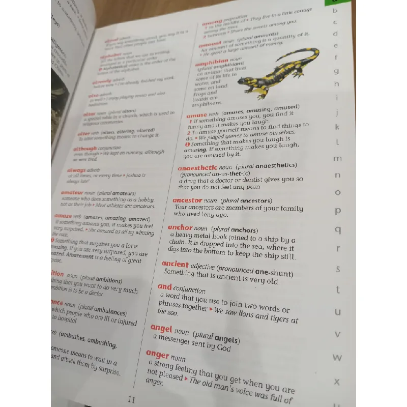 Oxford junior illustrated dictionary 556823