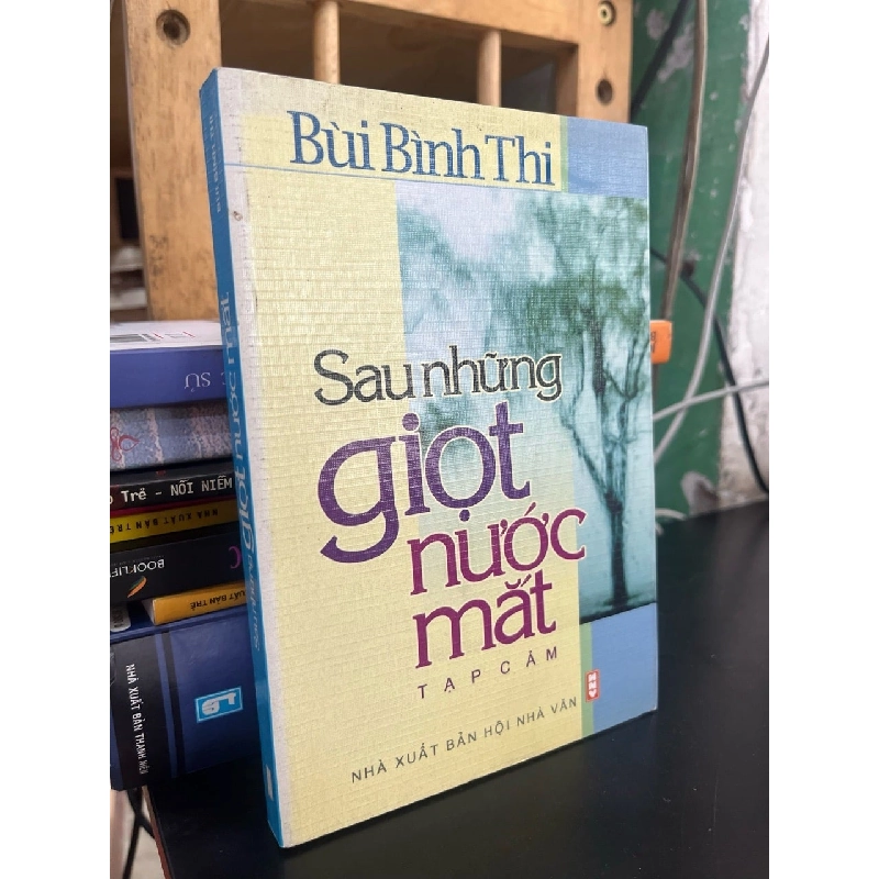 Sau những giọt nước mắt - Bùi Bình Thi 793049