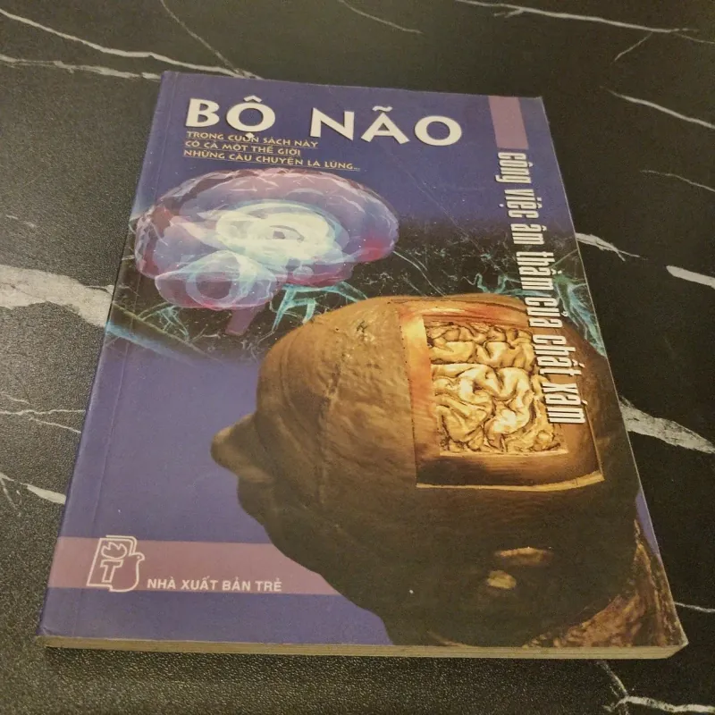 Bộ não - công việc âm thầm của chất xám 1027311