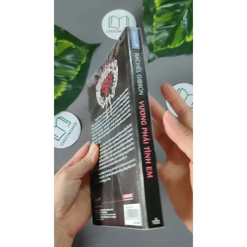 Vương Phải Tình Em - Rachel Gibson 604628