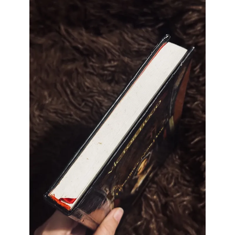 Nhà thờ đức bà Paris (bìa cứng) 934333