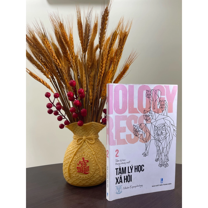 TÂM LÝ HỌC XÃ HỘI 458168