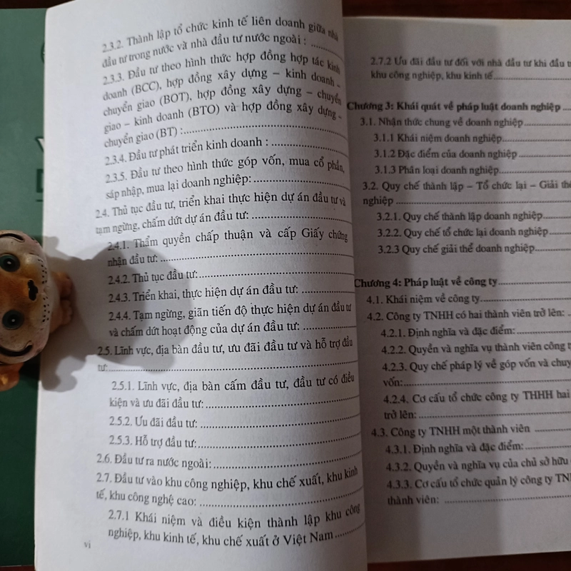 Giáo trình Luật Kinh tế - TS. Lê Văn Hưng 492680