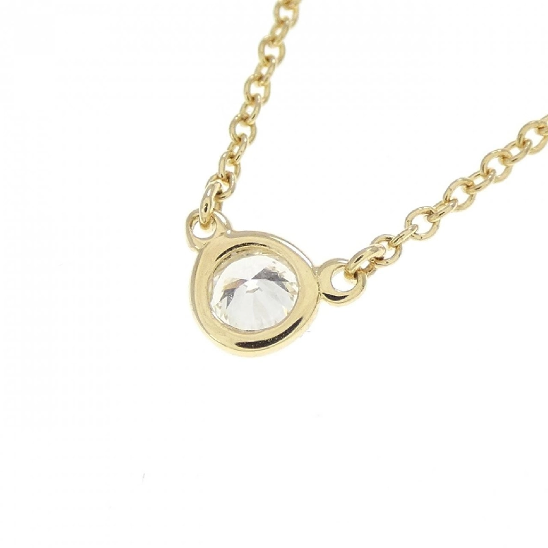 Dây chuyền Tiffany By The Yard - Hàng hiệu Authentic 839965