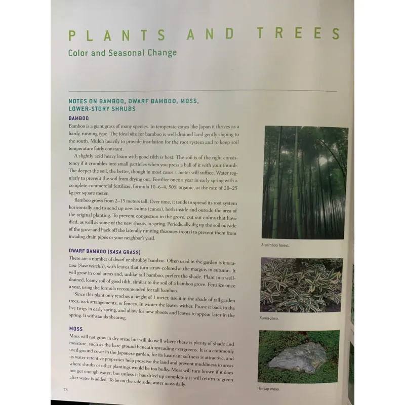 A JAPANESE TOUCH GARDEN (PHONG CÁCH VƯỜN NHẬT BẢN) - SEIKE, KUDO, ENGEL 752075