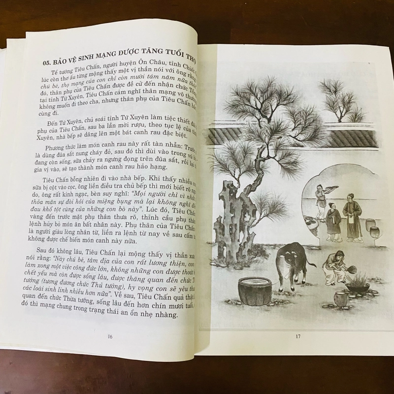 Tranh minh hoạ quả báo sát sinh và phóng sinh  469749